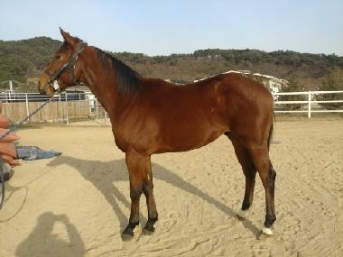Side view of Born To
