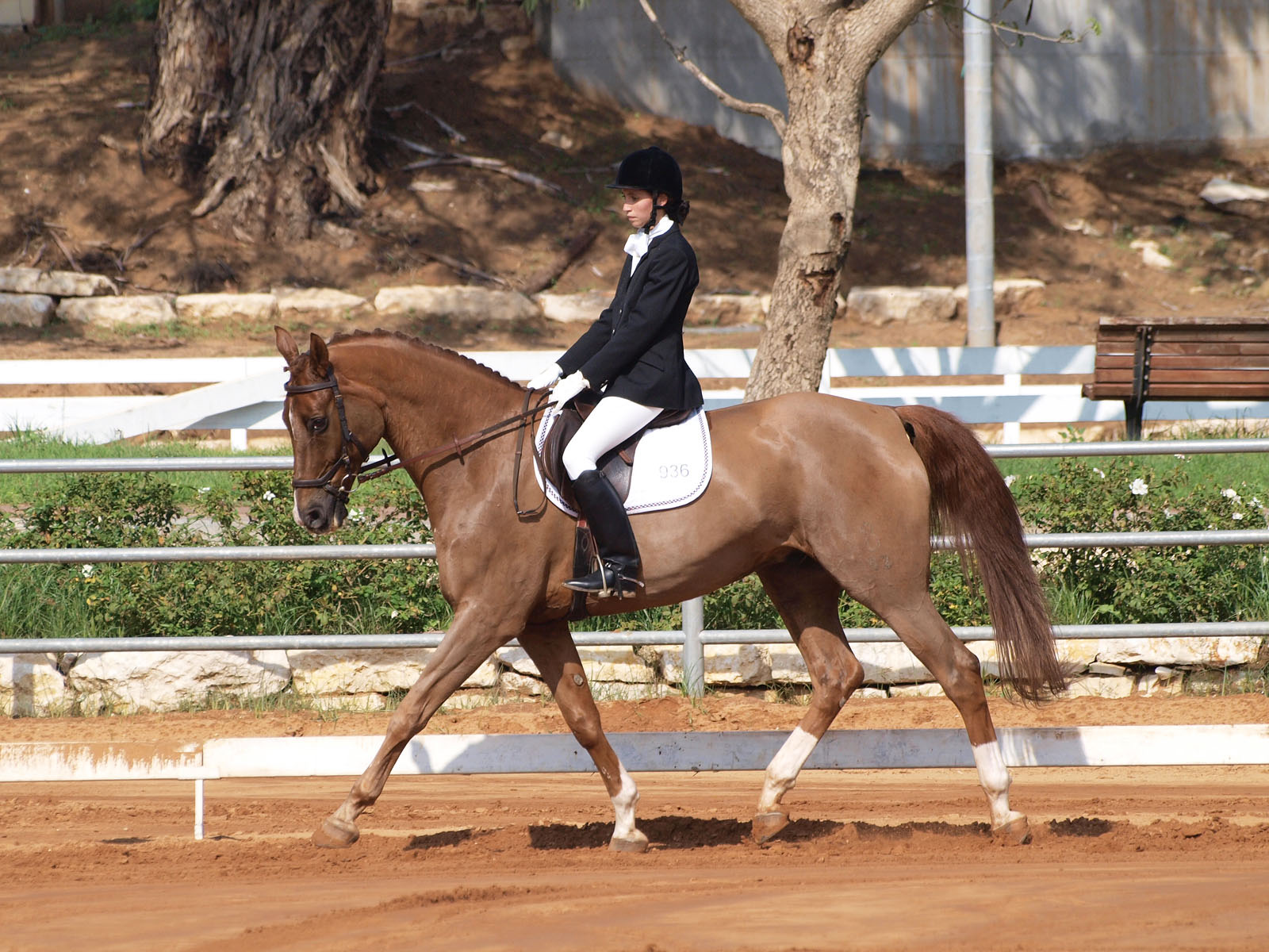 A horse and rider performing a trot in a dressage arena