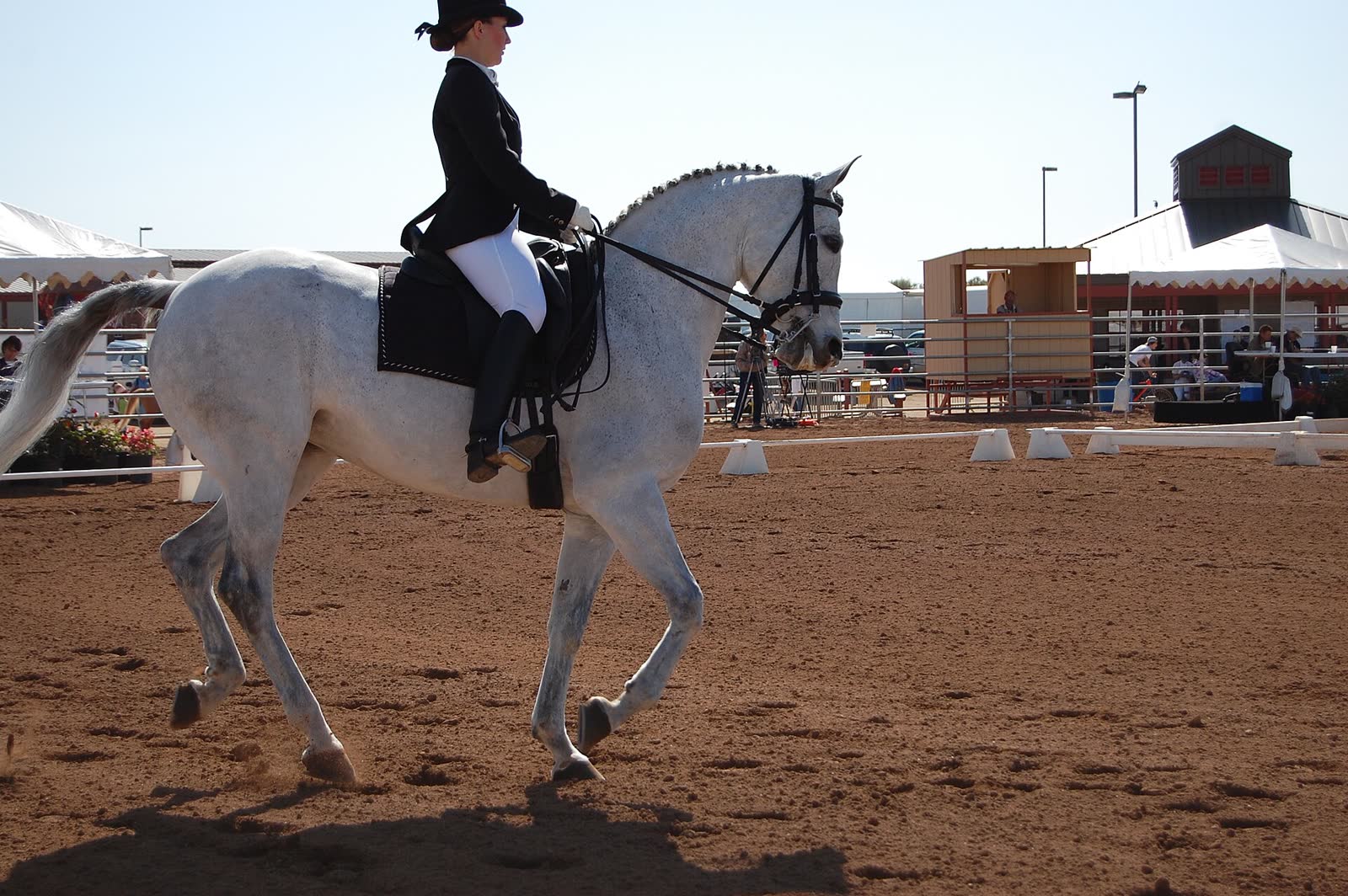 A rider in a black jacket and hat trotting a grey horse across a red dirt dressage arena