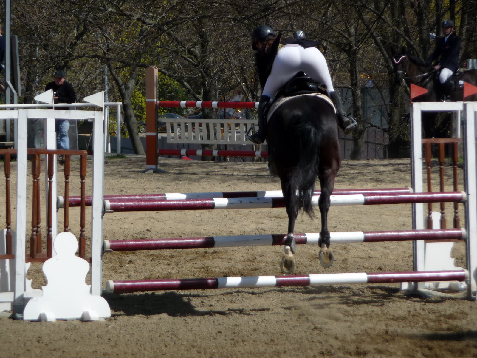 A rider on a black horse clearing a fence with red and white poles, photographed from behind