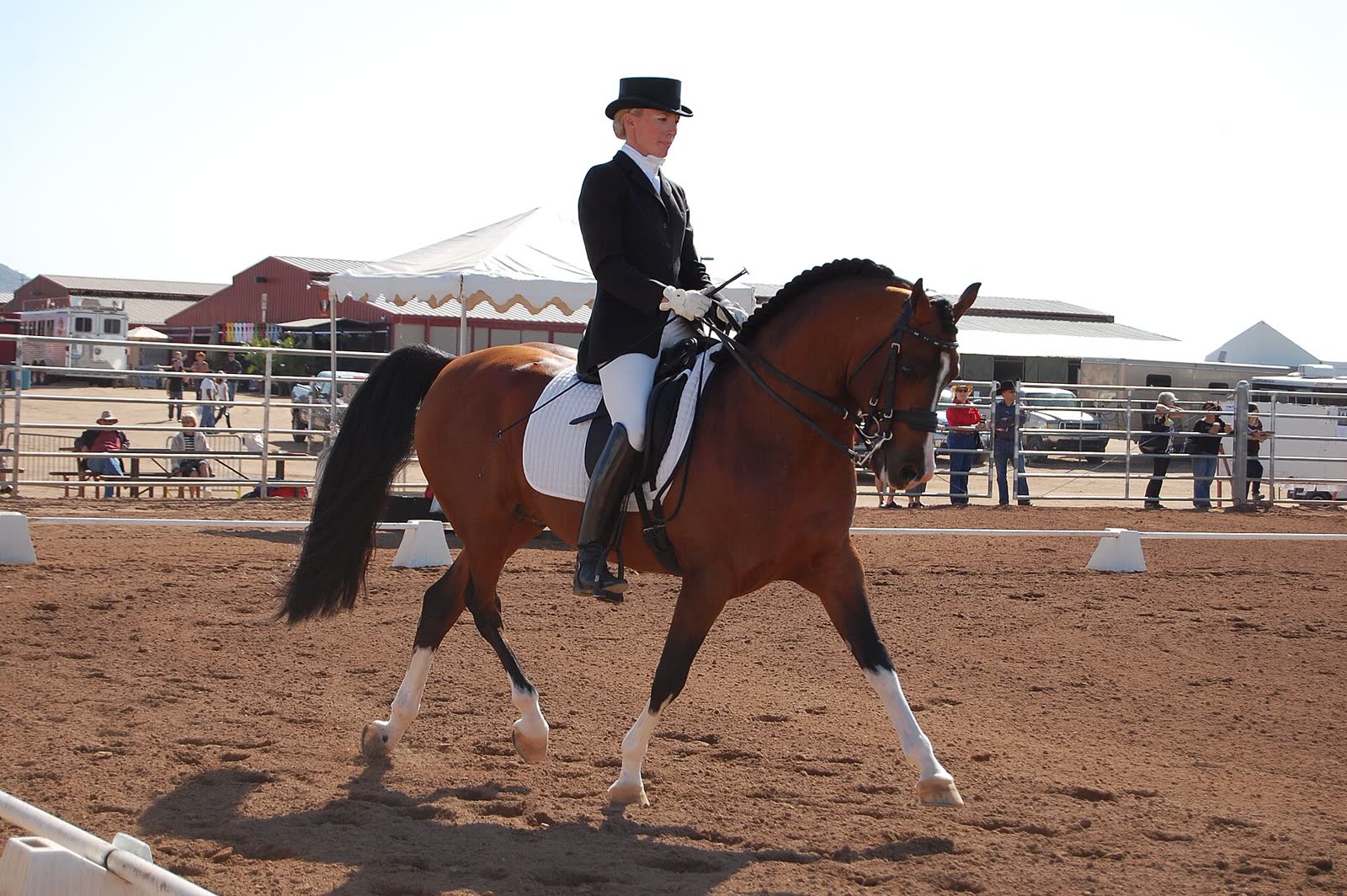A rider in a black coat and top hat riding a bay horse with white leg markings at the trot in a dirt arena. A white fence, spectators and a tent are behind